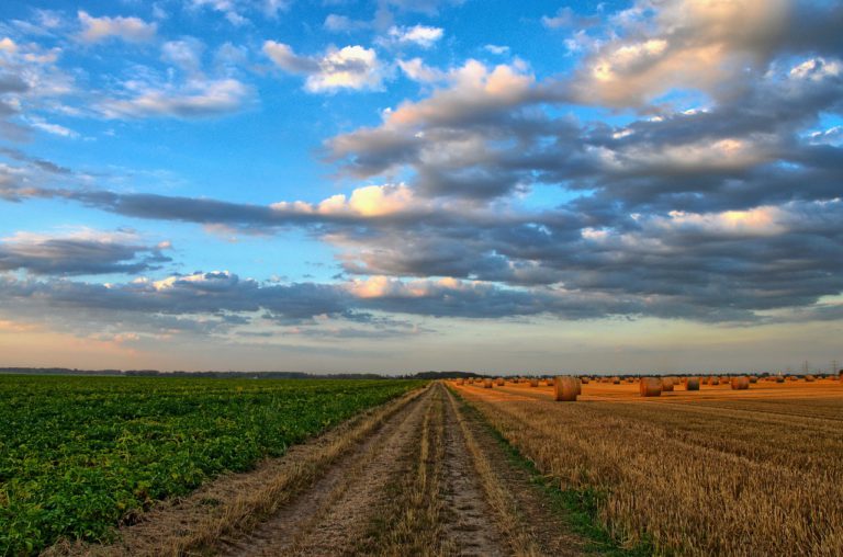 Innovazione in agrifood: parla Agostino Cavazza