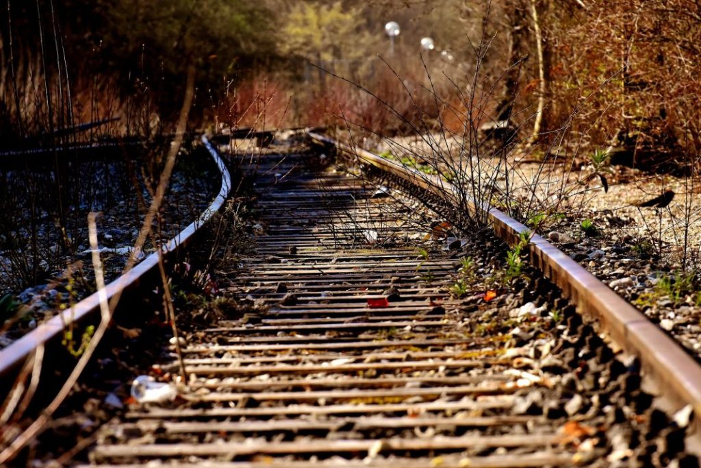 Scraping di dati pubblici per non perdere il treno della concorrenza