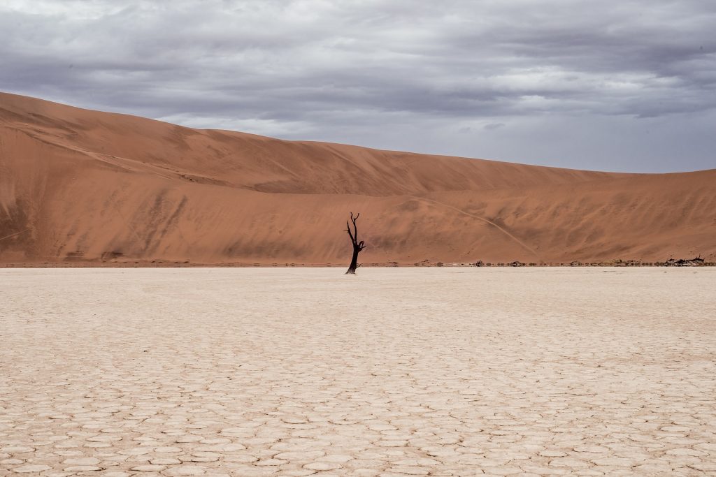 2070: cosa succederà se non si stoppa il cambiamento climatico?