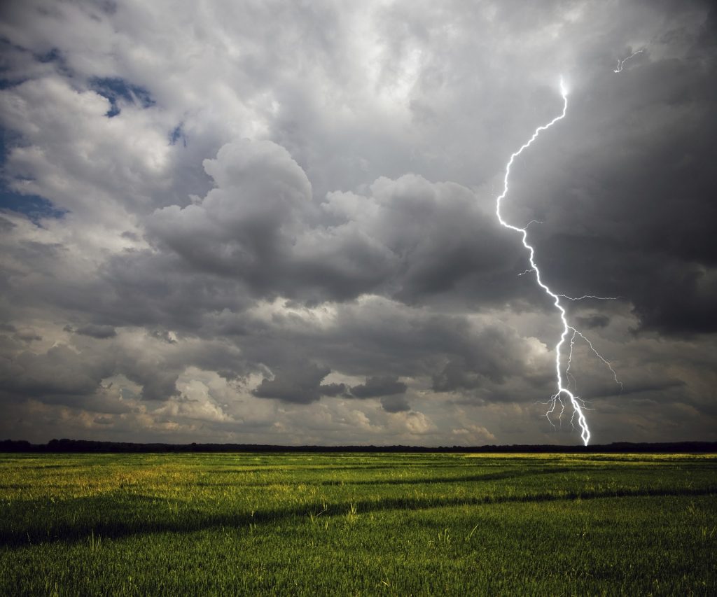 Di cambiamenti climatici, vicino punto di non ritorno e il digitale che ci salverà