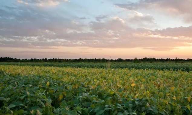 Per la Farm to Fork, “serve la combinazione di tutte le tecnologie disponibili”