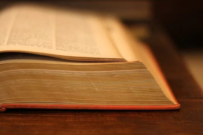 Tutti possono far parte della democrazia linguistico-digitale, ma la democrazia linguistico-digitale non è per tutti