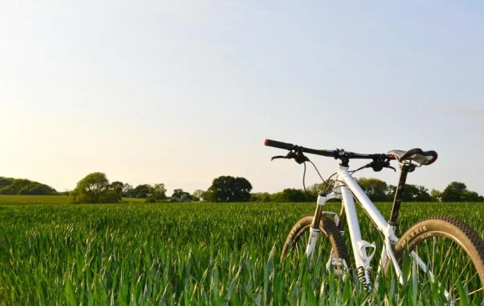 Il ruolo della bicicletta nella nuova mobilità urbana sostenibile: dalle infrastrutture al ruolo del digitale