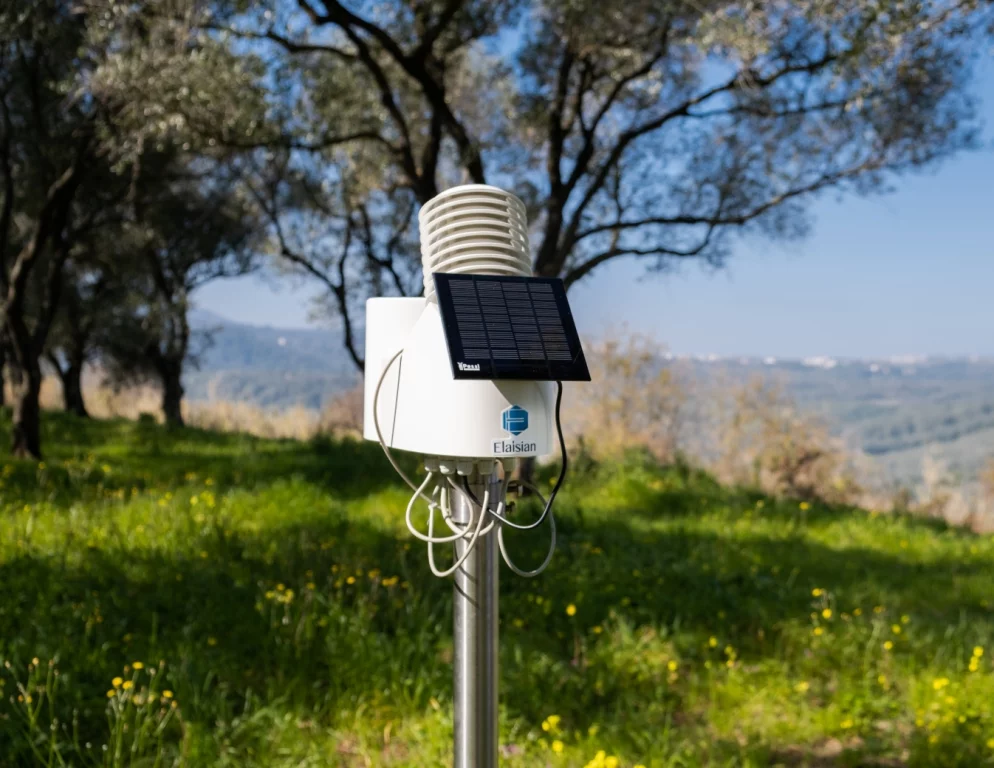 Elaisian: il digital farming per uliveti, vigneti e frutteti