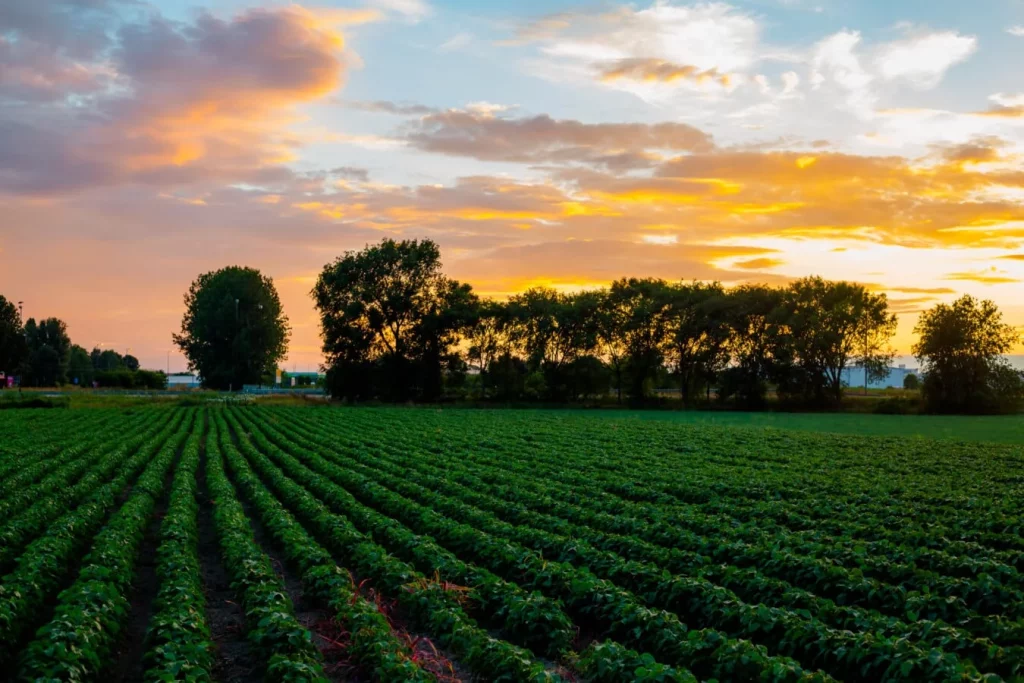 G20, agricoltura digitale: in Italia oggi vale 400 milioni di euro