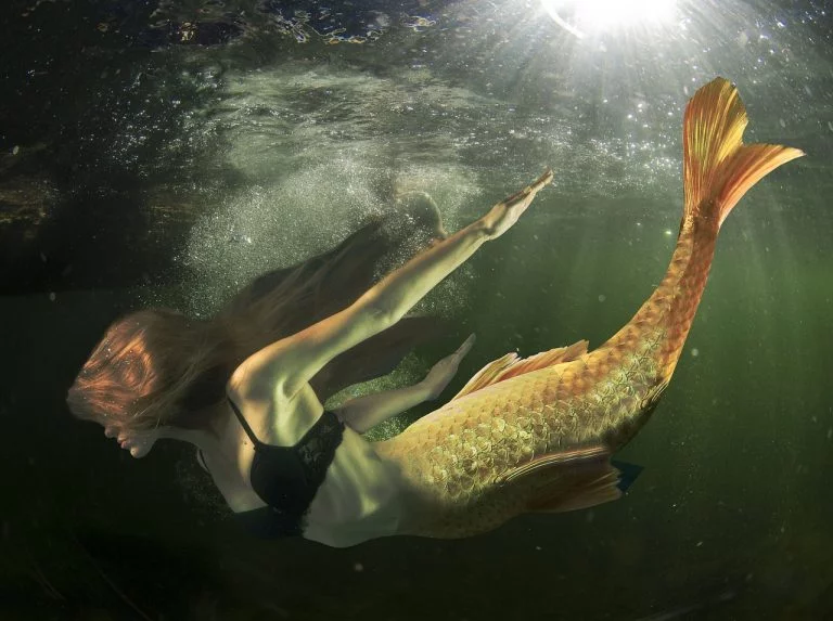 Semantica della relazione: la potenza mitologica delle Sirene giunge fino a noi