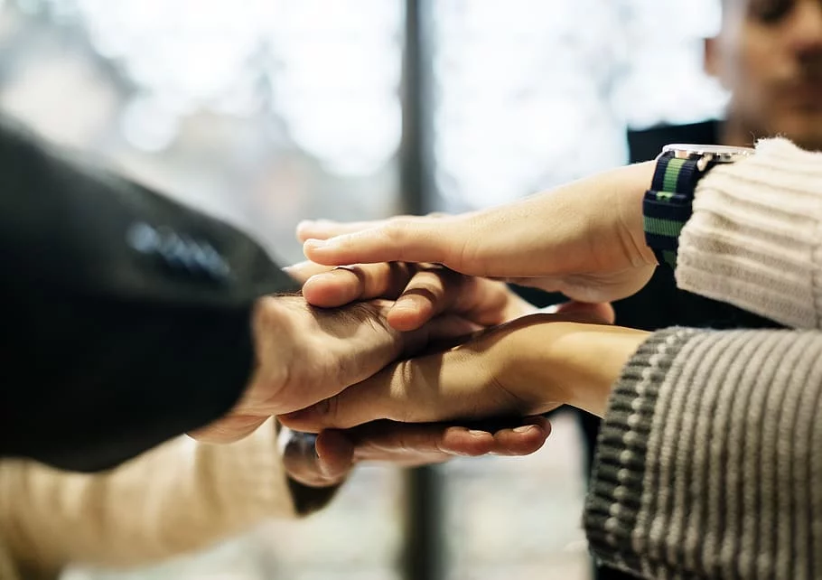 L’ecosistema di un team