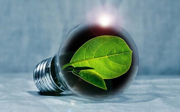 Le imprese affrontano la transizione ecologica scegliendo di investire sulla sostenibilità