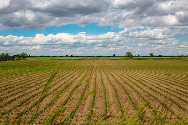 L’agricoltura? Un punto di riferimento per i giovani italiani