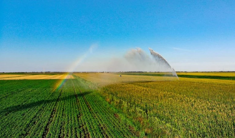 Bioristor: dal CNR a Dubai, sensori razionalizzano i consumi idrici agricoli