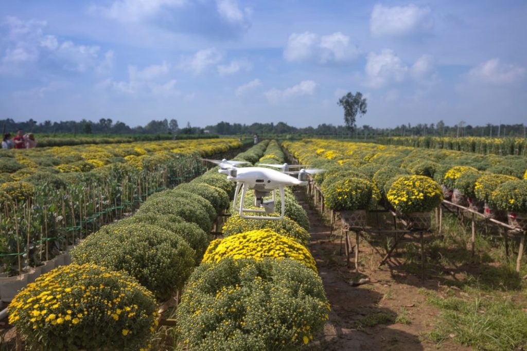 AI: Agroalimentare Intelligente