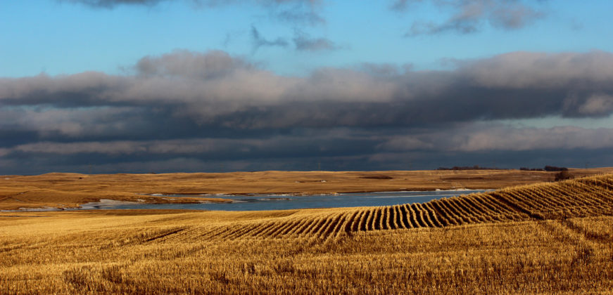 Quando manca la terra sotto i piedi. Economia circolare e vita sulla Terra