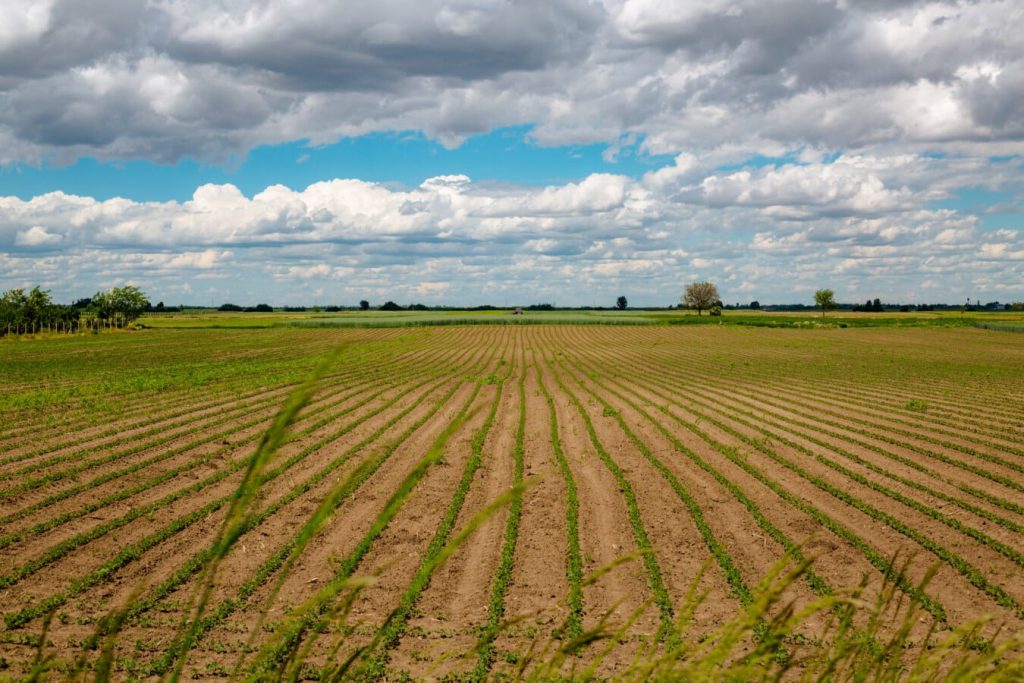 Soluzioni digitali per il carbon farming