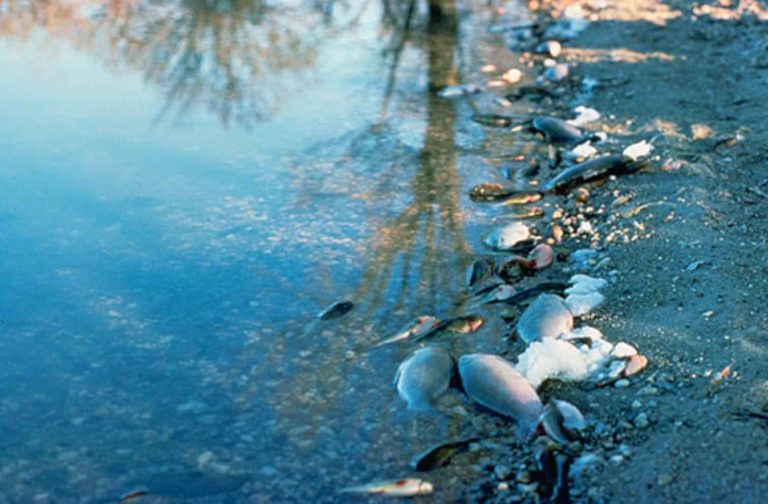 Acqua: dall’irrigazione data driven ai satelliti, la tecnologia che aiuta a non sprecare la risorsa più preziosa