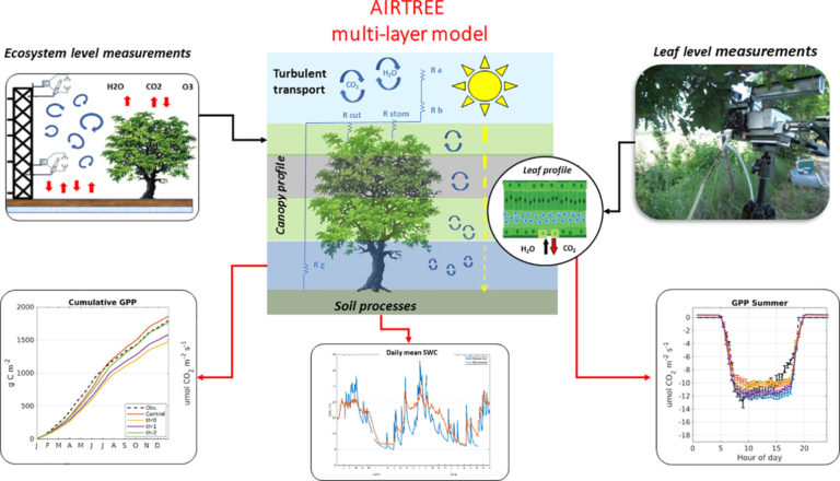 La botanica si fa digitale con AIRTREE, il software CREA per gli alberi